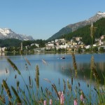 Swiss St. Moritz Lake, wild grass front